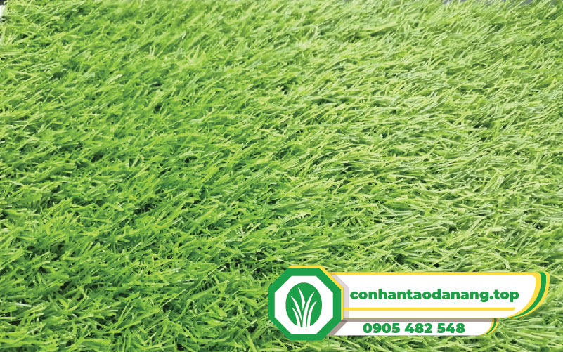 tham-co-nhan-tao-2m-day-01