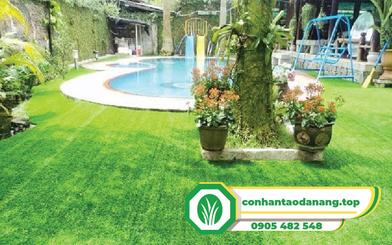 tham-co-nhan-tao-2m-day-06