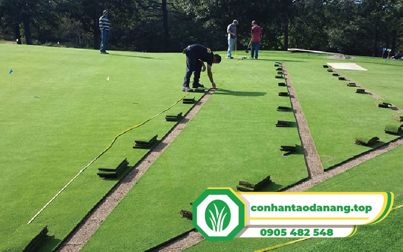 tham-co-nhan-tao-golf-1,5cm (4)