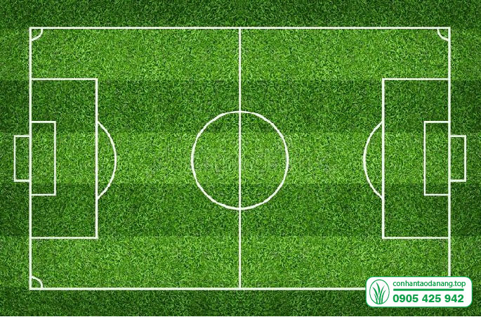cỏ sân bóng-07