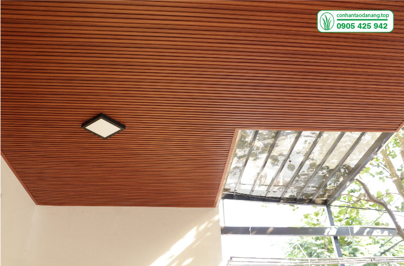 tam nhua lam song-04