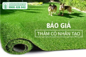BAO-GIA-THAM-CO-NHAN-TAO-07