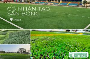 cỏ sân bóng-08
