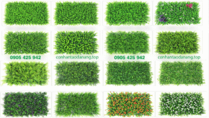 99-loai-co-tai-chuot