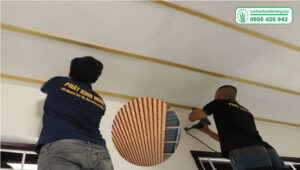 tam-nhua-lam-song-gia-go-06